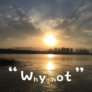 Why not-张斯函（无混音DEMO）