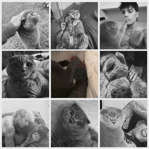 il ponte dell'arcobaleno