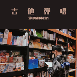 可惜不是你--吉他弹唱