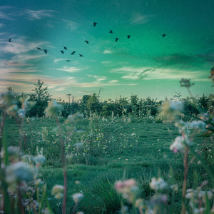 종소리가 울린 시점에서