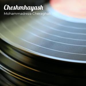 Cheshmhayash