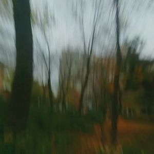 十一月底的傍晚端着相机在楼下小花园遛弯