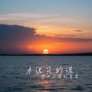 未说完的谎