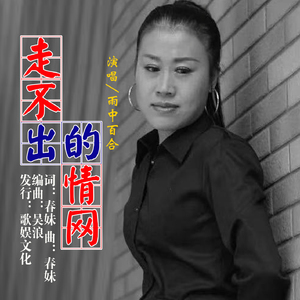 走不出的情网