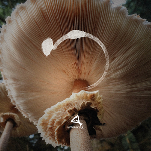 Hephaestu's Automaton (Original Mix)