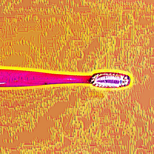 Beodzix
