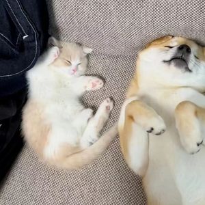 带我去找夜生活