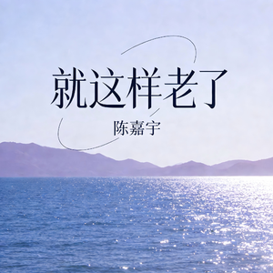 就这样老了