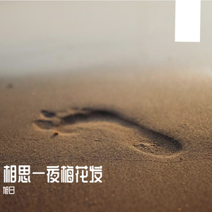 在天空中自由翱翔