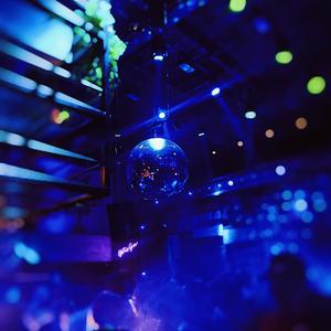 D e p i c t e d D e s c r i p t i o n