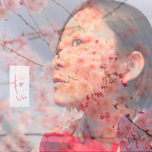 SakuraVoir
