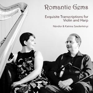 Introduction Et Rondo Capriccioso Op. 28