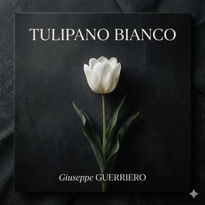 TULIPANO BIANCO