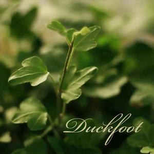 Duckfoot (A Short by Josh Lewis)