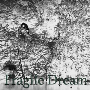 Fragile Dream