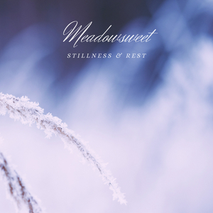 Stillness & Rest