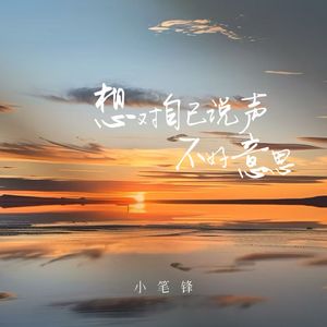 想对自己说声不好意思