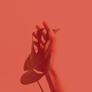 抚慰的温泉回忆