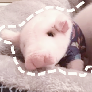 mua（翻自 DouDou）