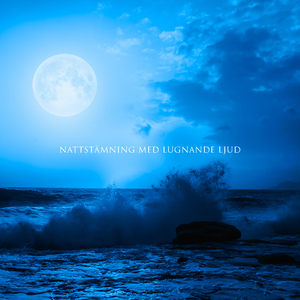 Sömnstörningar (Meditationsterapi)