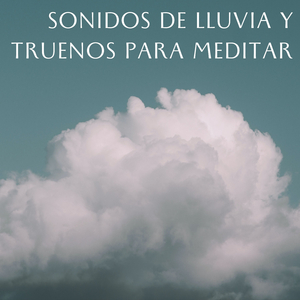Sonido Tranquilo De La Lluvia