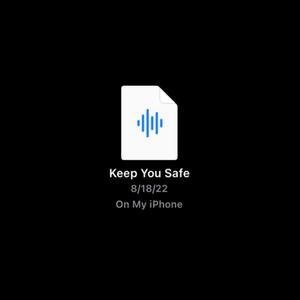 Keep You Safe (feat. FATBOY DEVO)