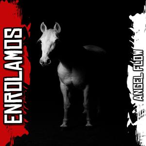 Enrolamos