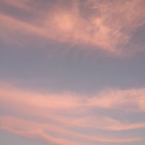 夜光