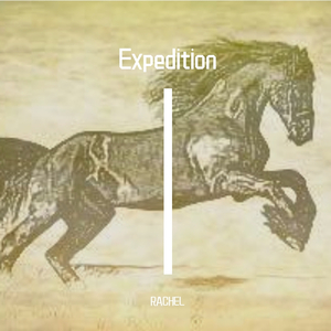 Expedition