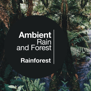 The Rain Nest