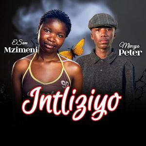 Intliziyo (feat. Mivuyo Peter & Mfana Wok'qala)