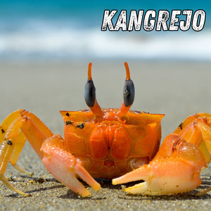 Kangrejo