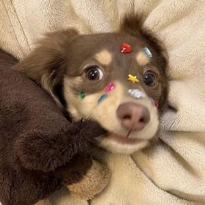 南方男孩与北京姑娘