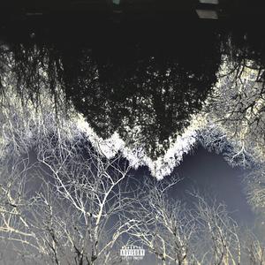 Regret (feat. $urreal)