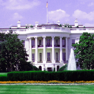 Hotel Industry, Bachelor’s in Criminal Justice, Bounty Hunting, and Working under Non-official Cover