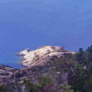 没有结果 (手碟)