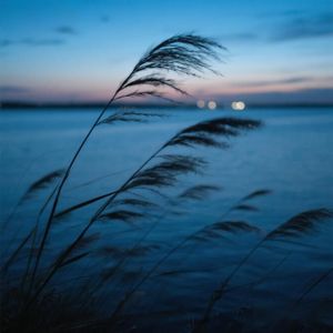 明天白云出山间