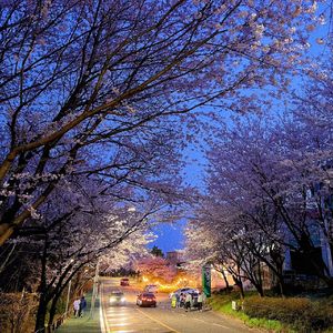 Space Echo（Two Piano）