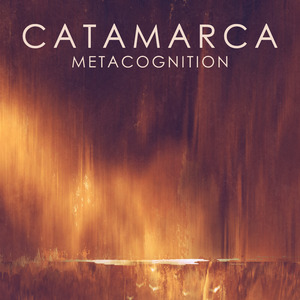 Metacognition