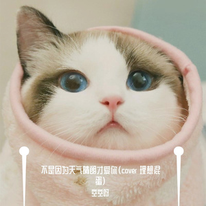 不是因为天气晴朗才爱你（翻自 理想混蛋 Bestards）