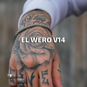 El Wero V14