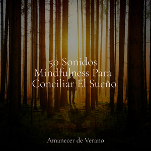 Sendero Encantado del Amor