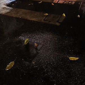 这场雨下得不明不白