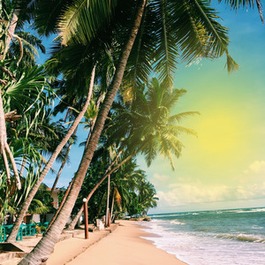Verão