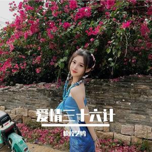 爱情三十六计dj（粮校艺鸣 remix）