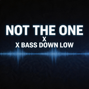 Not the one x bass down low