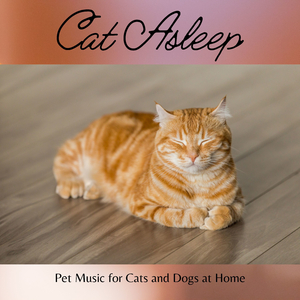 Kitty's Lullaby