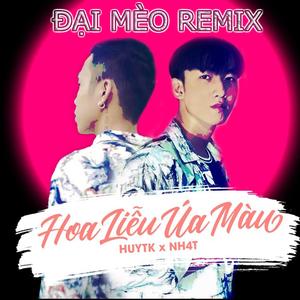 Hoa Liễu Úa Màu (Đại Mèo Remix)