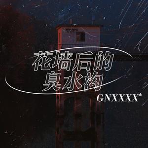 花墙后的臭水沟