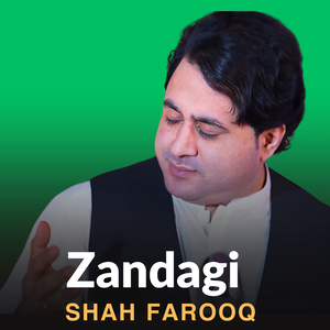 Zandagi
